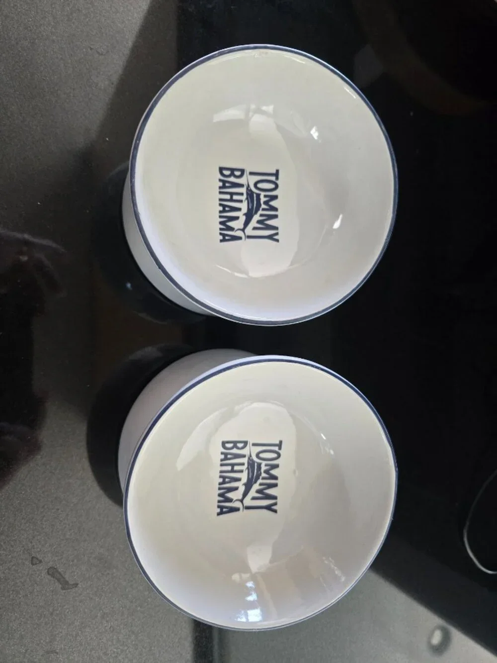 2 Tommy Bahama Pet Bowls